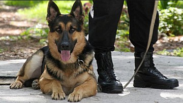 hondenbewaking isg security